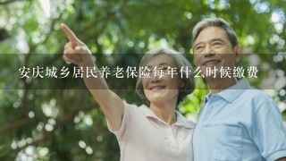 安庆城乡居民养老保险每年什么时候缴费