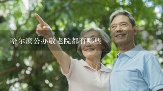 哈尔滨公办敬老院都有哪些