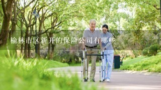 榆林市区新开的保险公司有哪些