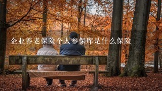 企业养老保险个人参保库是什么保险