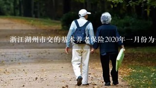 浙江湖州市交的基本养老保险2020年1月份为什么没到账？