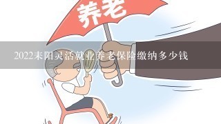 2022耒阳灵活就业养老保险缴纳多少钱