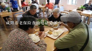 咸阳养老保险查询电话是多少