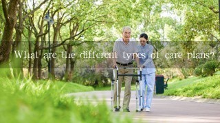 What are the different types of care plans?