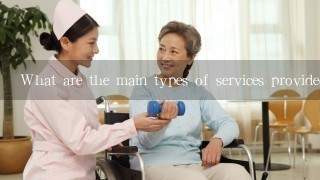 What are the main types of services provided by the elderly care system in your country?