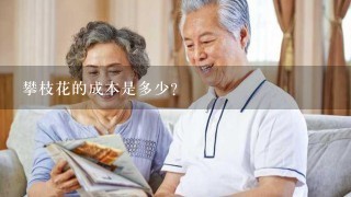 攀枝花的成本是多少?