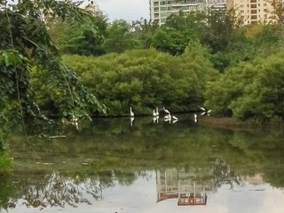 三亚市海之家老年公寓