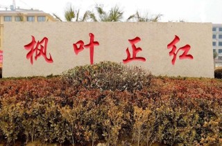 菏泽市牡丹区枫叶正红老年养护服务中心